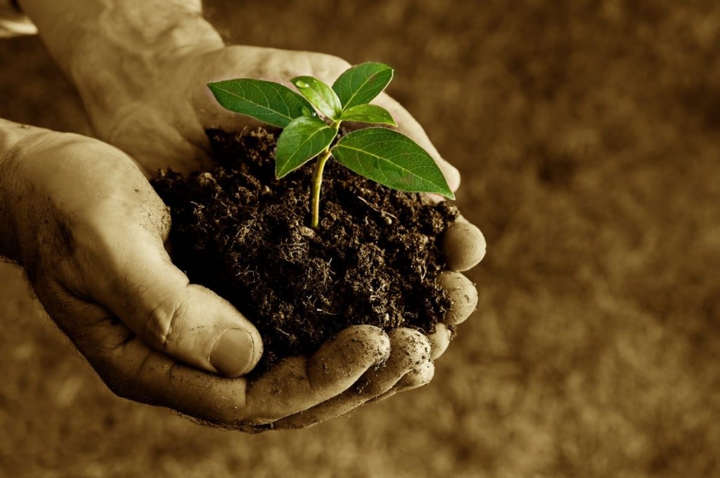 How to win new clients