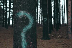 question marks on trees to represent interview questions in the admissions process